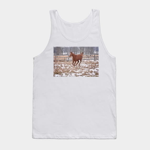 Palace Malice filly Tank Top by theartsyeq